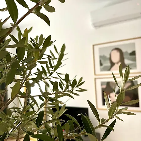 Elite - Art Collection - Leonardo דירה מרידה