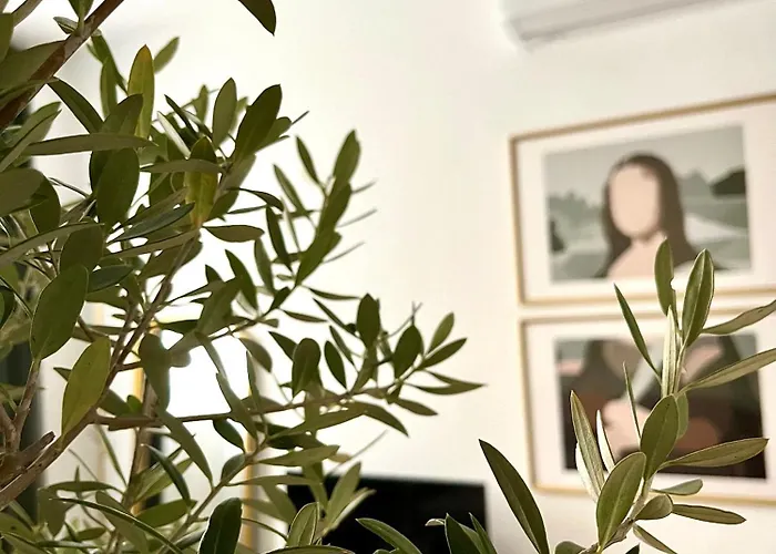 élite - Art Collection - Leonardo Appartement Mérida